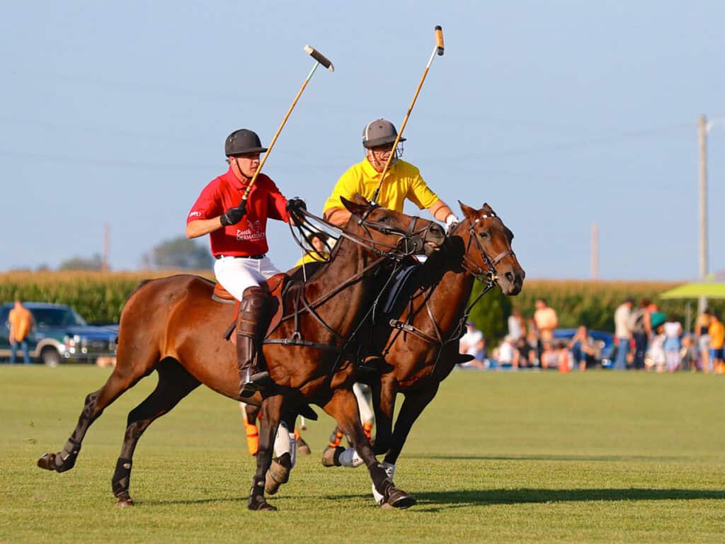 Men on horses laying in a polo match