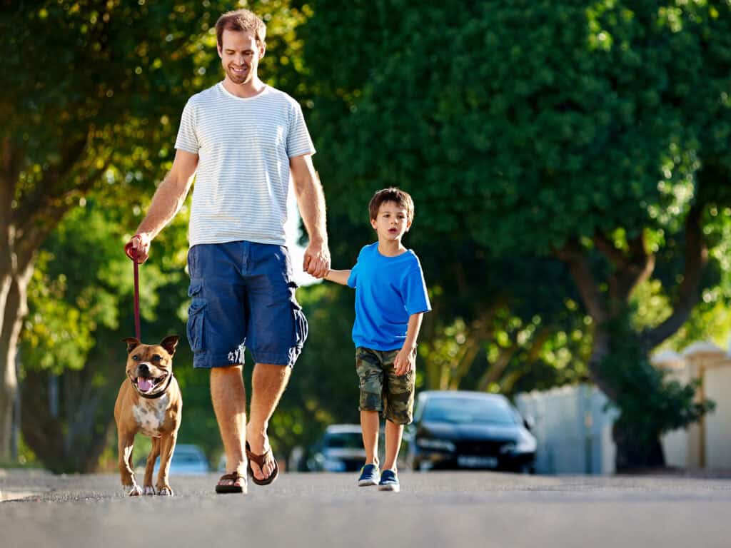 Father and young son walking a brown dog